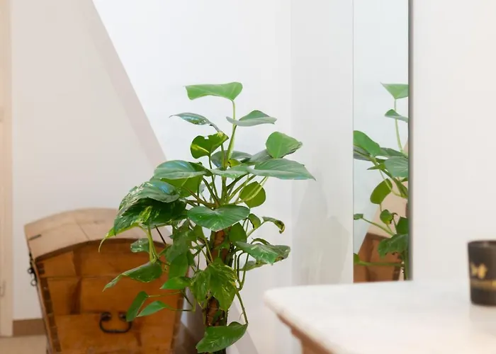 Villa Le Retro Club 1980 Champlay